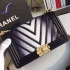 Chanel Boy lizard skin in two colours 